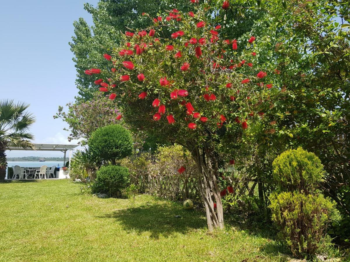 보우르보우로우 Dimitra'S House 빌라 외부 사진